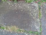 image of grave number 758994
